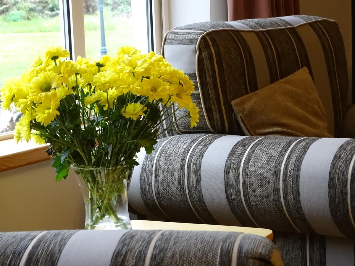 Pinewood Lodge Laragh Esterno foto