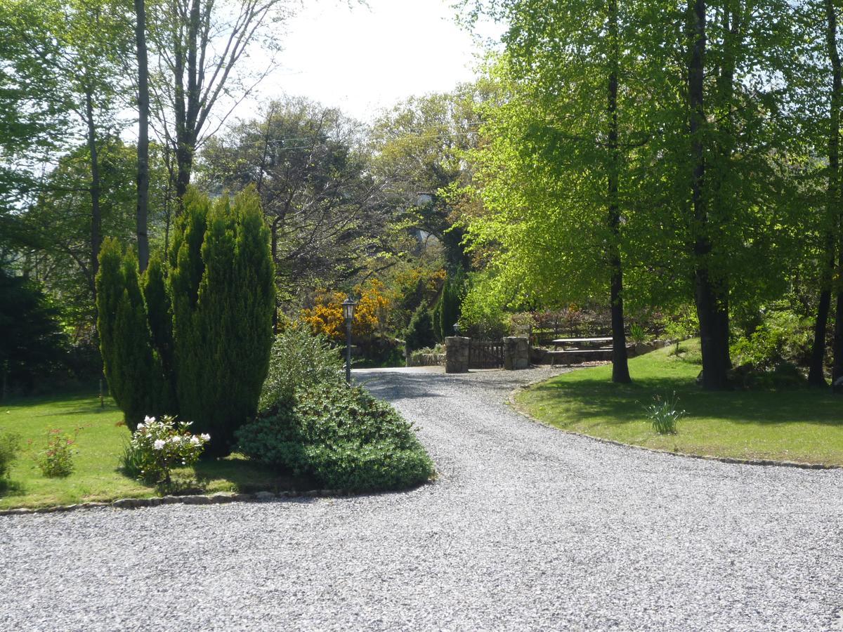 Pinewood Lodge Laragh Esterno foto